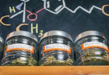 Cannabis Industry Expected to be Worth $47 Billion, Rival Wine Sales DlTH zDVAAAsnPV