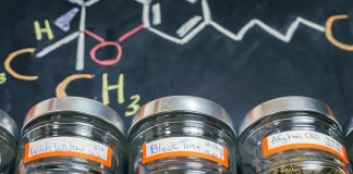 Cannabis Industry Expected to be Worth $47 Billion, Rival Wine Sales DlTH zDVAAAsnPV