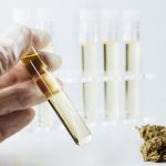4 Cannabis Testing Labs in Florida Florida cannabis lab tests
