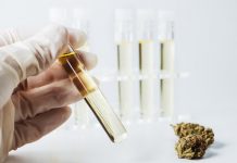 4 Cannabis Testing Labs in Florida Florida cannabis lab tests