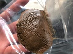 Frenchy Cannoli’s Ancient Art of Sieving Workshop (Photo Gallery) Frenchy cannoli hash 640x mg magazine 1