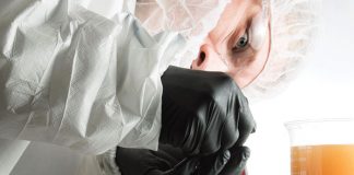 Lunchbox Alchemy: ‘Crafting a Global Cannabis Culture’ Lunchbox Alchemy Staying busy in the Lunchbox Lab web MGmagazine