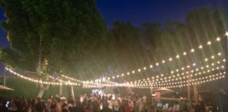 A Midsummer’s Night with Mammoth Distro Mammoth Distro 4 fea 1