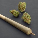 5 Pre-Rolls You’ll Want to Stock in Your Oregon Dispensary cannabis pre rolls Oregon mg Retailer 1