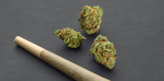 5 Pre-Rolls You’ll Want to Stock in Your Oregon Dispensary cannabis pre rolls Oregon mg Retailer 1