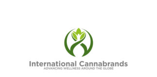 International Cannabrands Inc. Appoints Senior Executives internationalcannabrands mg magazine 1