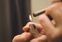 Cannabis Access and Use on the Rise lighter mg magazine