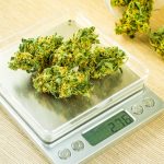 6 NTEP Certified Scales for Your Dispensary Cannabis dispensary scales mg Retailer
