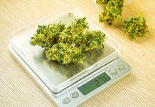 6 NTEP Certified Scales for Your Dispensary Cannabis dispensary scales mg Retailer