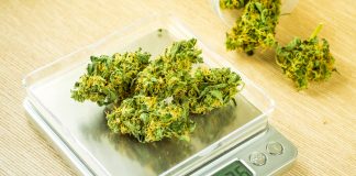 6 NTEP Certified Scales for Your Dispensary Cannabis dispensary scales mg Retailer