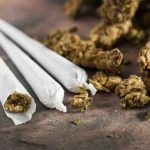 New Bill Would Legalize Cannabis, Pot Lounges in New Jersey Cannabis legalization lounges new jersey mg Retailer