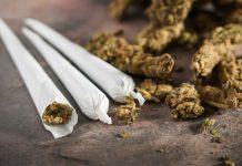 New Bill Would Legalize Cannabis, Pot Lounges in New Jersey Cannabis legalization lounges new jersey mg Retailer
