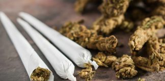 New Bill Would Legalize Cannabis, Pot Lounges in New Jersey Cannabis legalization lounges new jersey mg Retailer