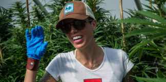 Searching for Unicorns at the Phenotype Mega Hunt PhenotypeMegaMainImage 1