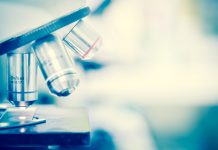 Five Schools Approved for Cannabis Research in Philly Philly medical school cannabis research mg Retailer