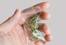 4 Cannabis Auto Packagers That can Save you Time and Money cannabis auto baggers mg Retailer
