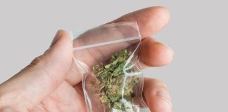 4 Cannabis Auto Packagers That can Save you Time and Money cannabis auto baggers mg Retailer