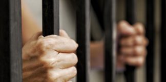 Bi-Partisan Group in Congress Seeking to Toss Non-Violent Cannabis Convictions cannabis congress reform mg Retailer