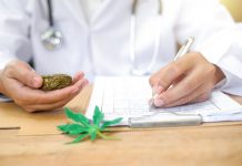 Canadian Company Receives Approval to Ship Cannabis to the U.S. cannabis export canada mg Retailer