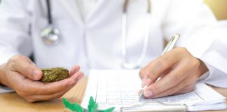 Canadian Company Receives Approval to Ship Cannabis to the U.S. cannabis export canada mg Retailer