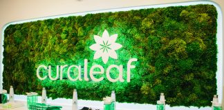 Strains of September: Farms to Remember