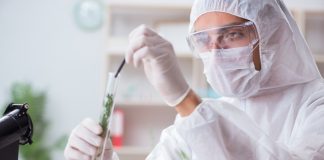 Cannabis Products Failing California Lab Testing Requirements lab testing