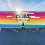 Growth Spurt: How San Jose’s Caliva Grew 300 Percent in One Year Caliva DSC08571 3 i guy photo web mg magazine