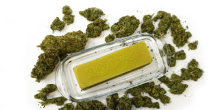 Cannabis is Legal in Canada, But Not Edibles Canada Cannabis Edibles mgretailer