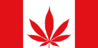 Cannabis Jobs in Canada Boom, as Cannabis Becomes Legal This Week Canadian Cannabis Flag mgretailer