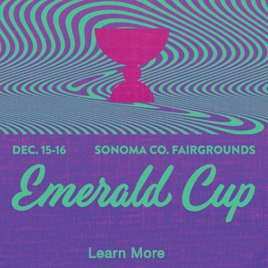 Emerald Cup mg magazine