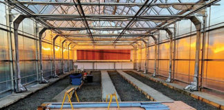 3 Key Issues to Consider When Seeking Cultivation Space GrowTec IMG 0525 web mg magazine