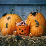 5 Cannabis Edibles Your Customers Will Want in Their Treat Bag Halloween cannabis treats mg Retailer