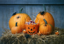 5 Cannabis Edibles Your Customers Will Want in Their Treat Bag Halloween cannabis treats mg Retailer