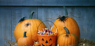 5 Cannabis Edibles Your Customers Will Want in Their Treat Bag Halloween cannabis treats mg Retailer