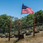 Too Much of a Good Thing: The West Coast is Swimming in Weed MG Mendo 618 Dolce Canapa 0118 web MG magazine