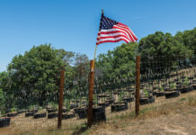 Too Much of a Good Thing: The West Coast is Swimming in Weed MG Mendo 618 Dolce Canapa 0118 web MG magazine