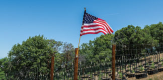 Too Much of a Good Thing: The West Coast is Swimming in Weed MG Mendo 618 Dolce Canapa 0118 web MG magazine