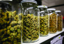 Beating the Heat: The Biggest Sin in Sin City May Be the Desert’s Effect on Flower Quality TheSource Jars of Flower mg magazine