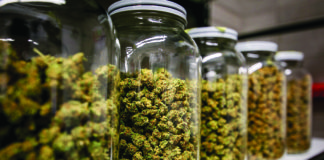 Beating the Heat: The Biggest Sin in Sin City May Be the Desert’s Effect on Flower Quality TheSource Jars of Flower mg magazine