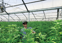 Organic Commercial Cannabis: 5 Keys for Success Vital Garden Supply IMG 3513 web MG magazine SN