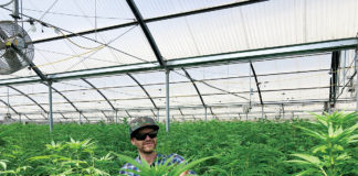Organic Commercial Cannabis: 5 Keys for Success Vital Garden Supply IMG 3513 web MG magazine SN
