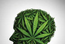 As the Cannabis Industry Grows, Legalization Begets Litigation cann head 1194315088 web MG magazine