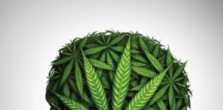 As the Cannabis Industry Grows, Legalization Begets Litigation cann head 1194315088 web MG magazine