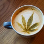 4 Buzz-Worthy Beverages for Cozy, Holiday Get-Togethers cannabis hot drink mgretailer 1