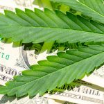 SEC Alert Warns Investors About Marijuana Investments and Fraud