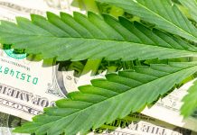SEC Alert Warns Investors About Marijuana Investments and Fraud