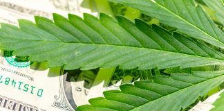 SEC Alert Warns Investors About Marijuana Investments and Fraud