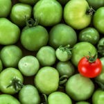 Growers Need Brand Identities, Too BrandStandOut