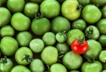 Growers Need Brand Identities, Too BrandStandOut