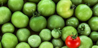 Growers Need Brand Identities, Too BrandStandOut